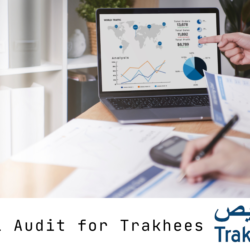 Financial Audit for Trakhees | SAB Auditing